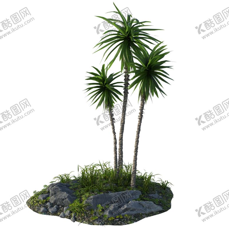 编号：78614610230438395997【酷图网】源文件下载-椰树