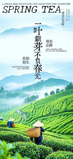春季采茶海报 