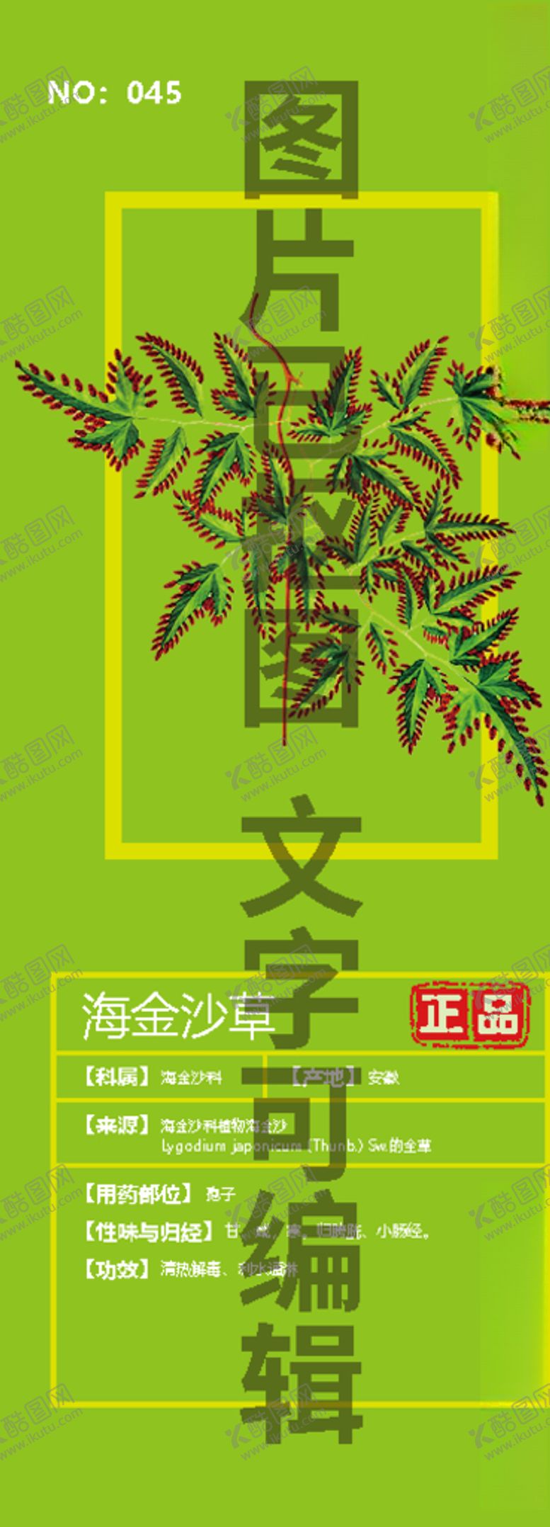 编号：45398203290317229174【酷图网】源文件下载-海金沙草