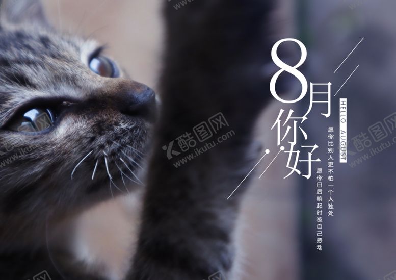 编号：29873110092256187468【酷图网】源文件下载-八月你好