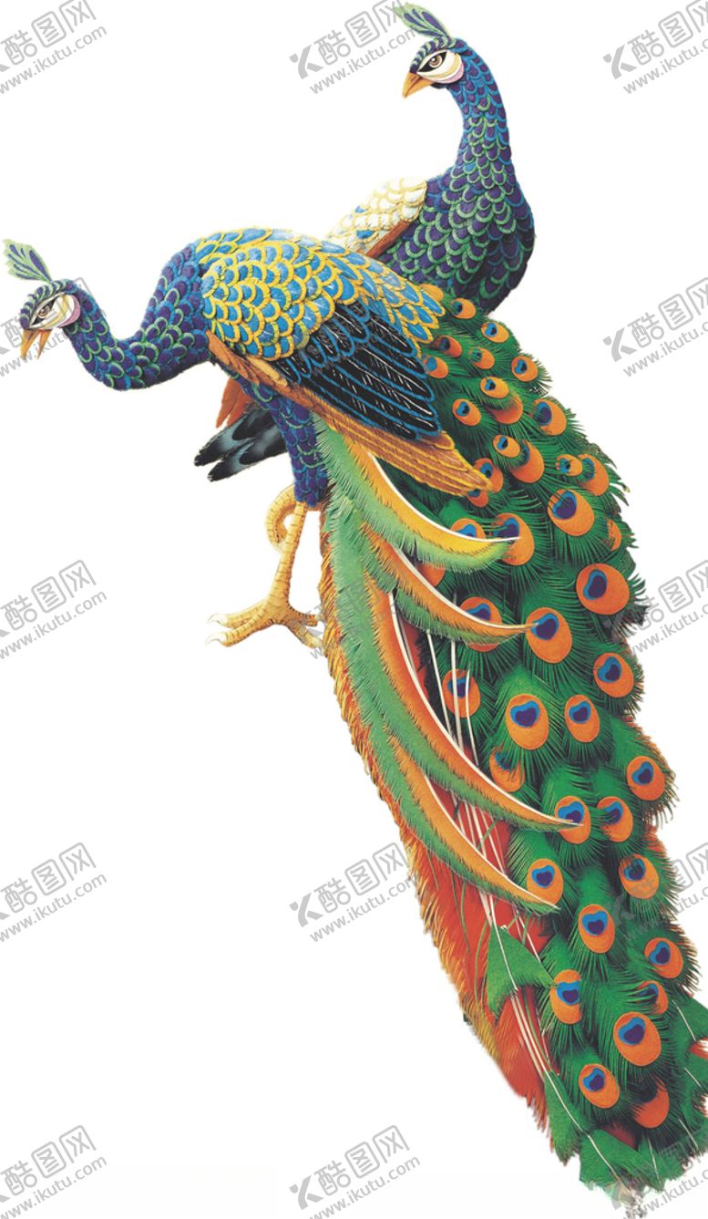 编号：97230604200030121731【酷图网】源文件下载-手绘孔雀png素材