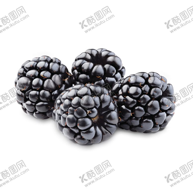 编号：57011506290401388543【酷图网】源文件下载-覆盆子