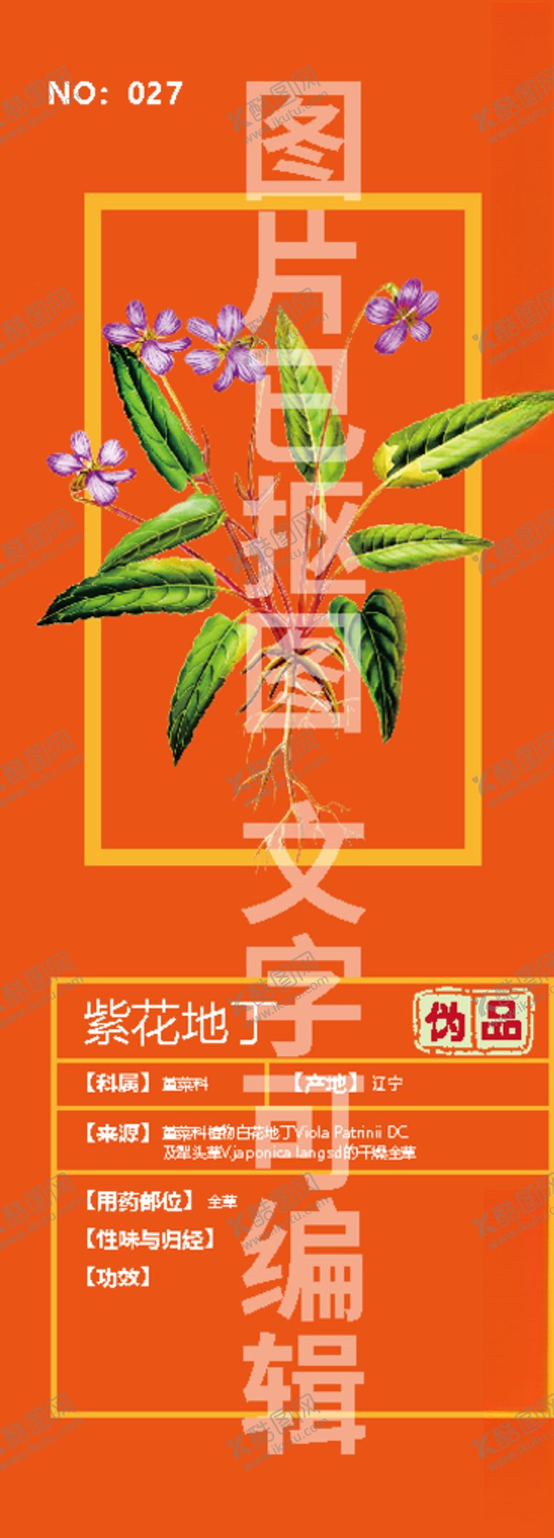 编号：87143009161934297453【酷图网】源文件下载-紫花地丁