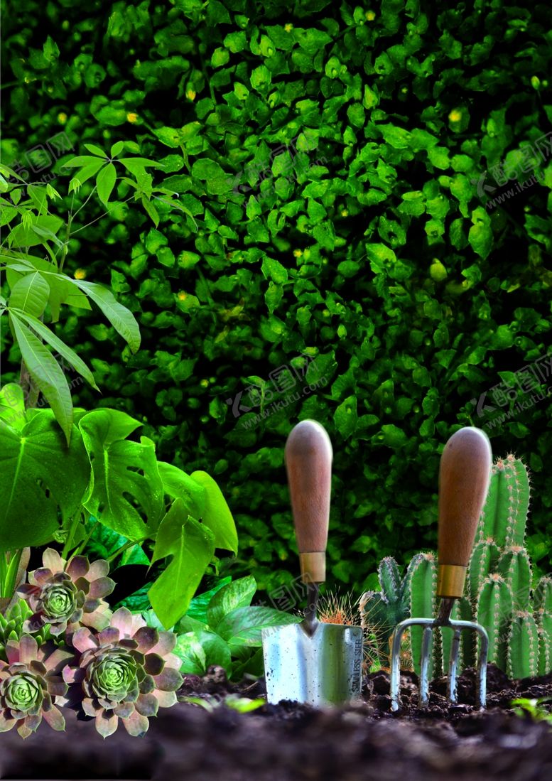 编号：56927110050547506343【酷图网】源文件下载-观叶