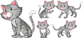 卡通猫暹罗狸花短毛