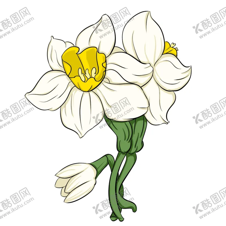 编号：36952405011052206862【酷图网】源文件下载-手绘水仙花