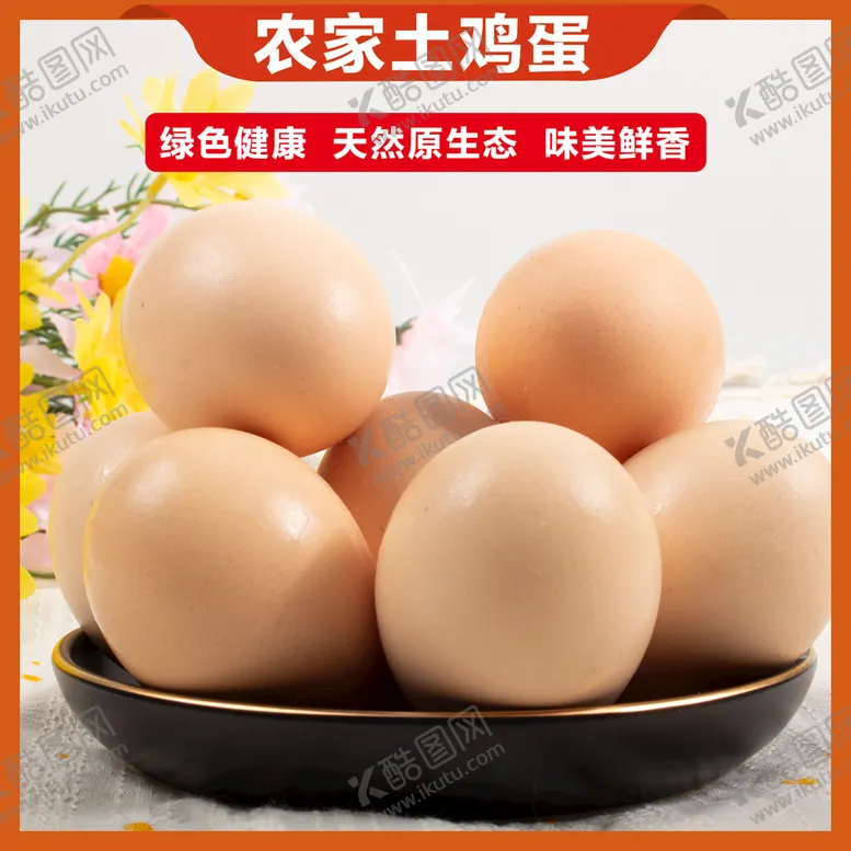 编号：04863209202121594158【酷图网】源文件下载-鸡蛋