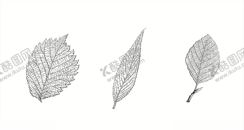 编号：24449309302210285466【酷图网】源文件下载-图标矢量图UI平面促销特卖