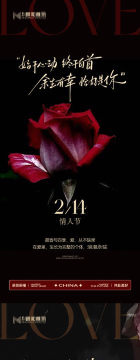 情人节节日海报2026马年玫瑰爱心