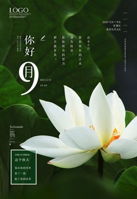 九月荷花
