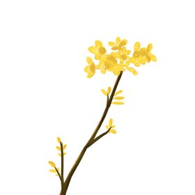 桂花八月半月饼海报素材