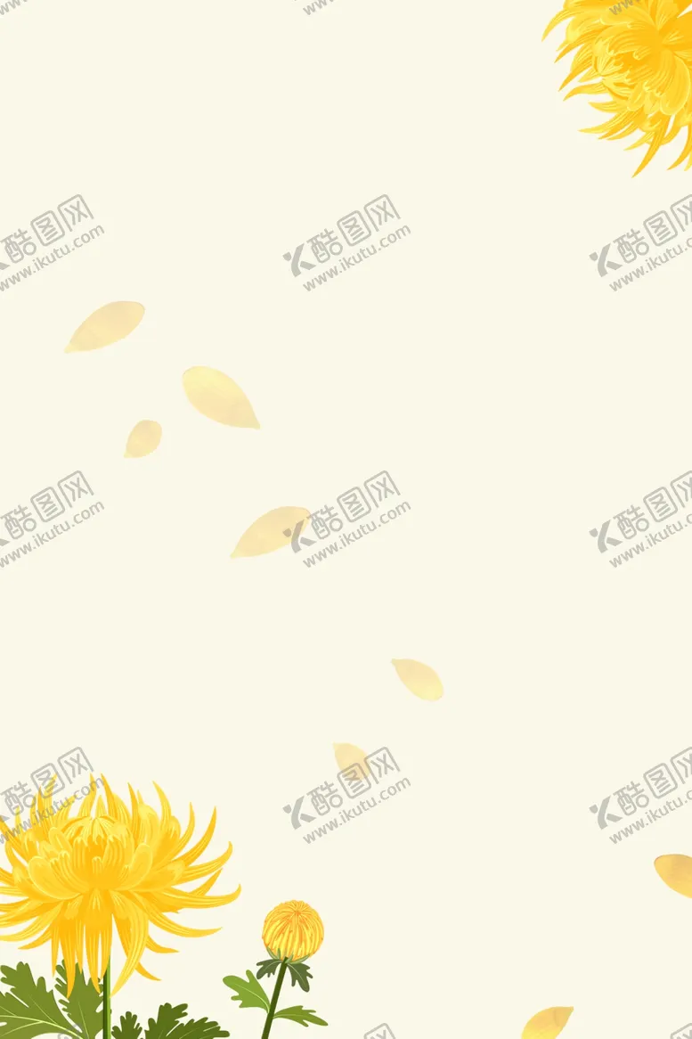 编号：16436509082324292359【酷图网】源文件下载-淡雅背景菊花黄色背景
