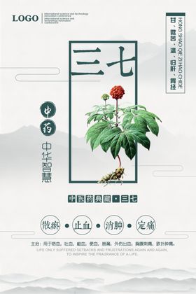 中国风三七中药文化宣传海报展板