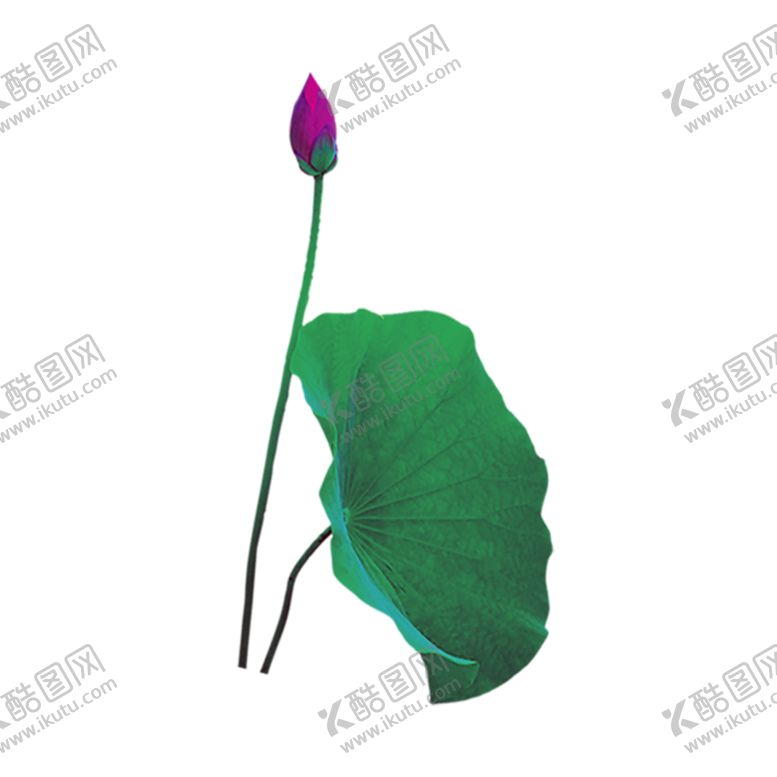 编号：48549510062006149098【酷图网】源文件下载-绿色植物