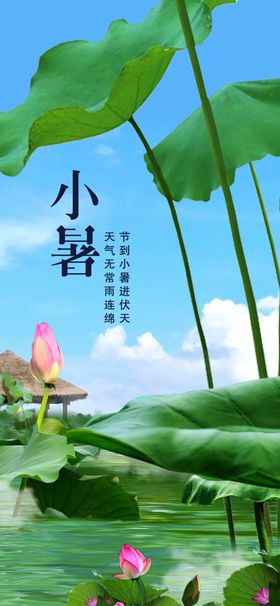 小暑节气图片