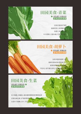 绿色蔬菜田园美食介绍展板