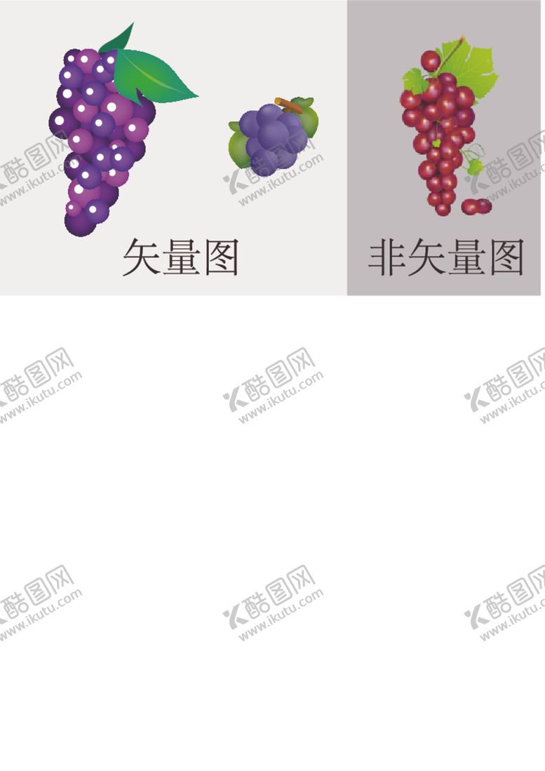 编号：61478212220240153487【酷图网】源文件下载-葡萄矢量图