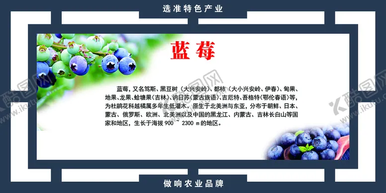 编号：41890510151820197023【酷图网】源文件下载-大棚水果蔬菜展板