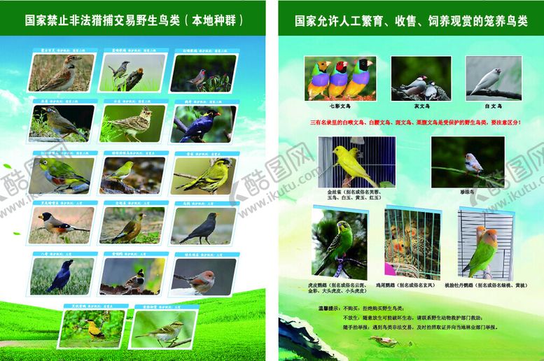 编号：72989404030750122439【酷图网】源文件下载-鸟类图片展示集