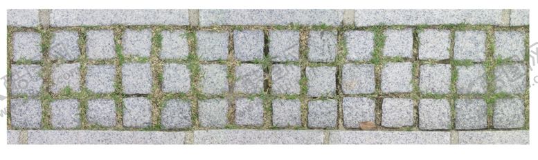 编号：13792205112202475564【酷图网】源文件下载-免扣植物素材图片