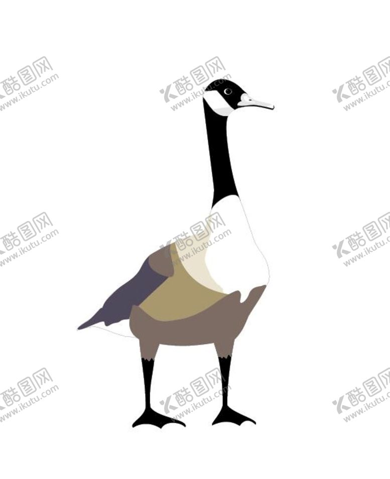 编号：03891409200601341923【酷图网】源文件下载-鸟类