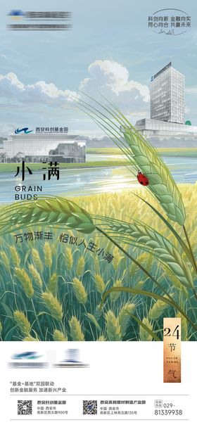 小满节气海报单图
