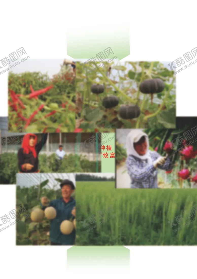 编号：12522704301226071990【酷图网】源文件下载-照片排版