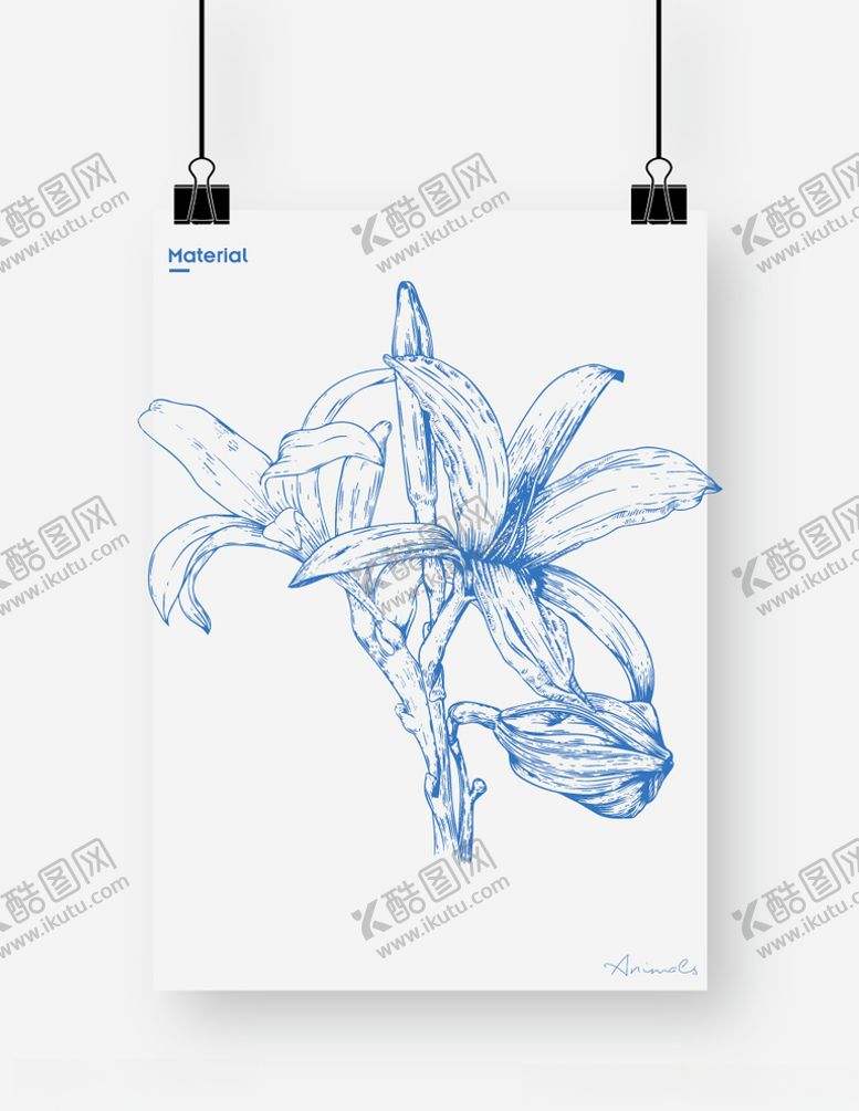 编号：91525109262048277967【酷图网】源文件下载-百合