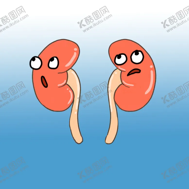编号：59640709150114144906【酷图网】源文件下载-可爱肾脏卡通娃娃肾解剖图