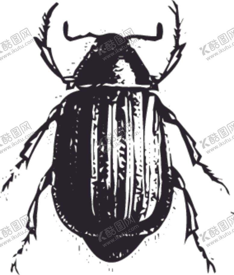 编号：88589310310017569667【酷图网】源文件下载-自然昆虫蝴蝶标本插画