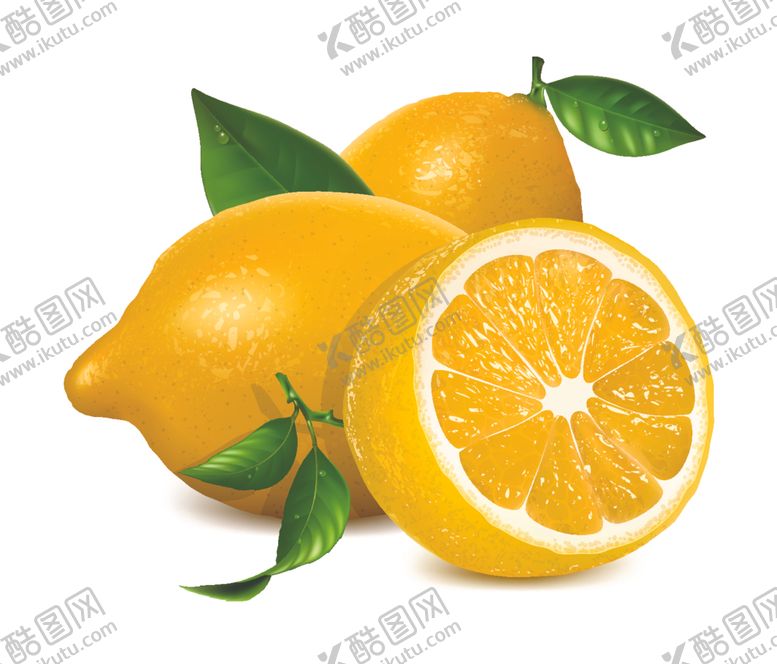 编号：51443212090359281599【酷图网】源文件下载-柠檬水果