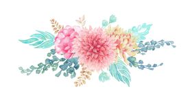 花卉素材