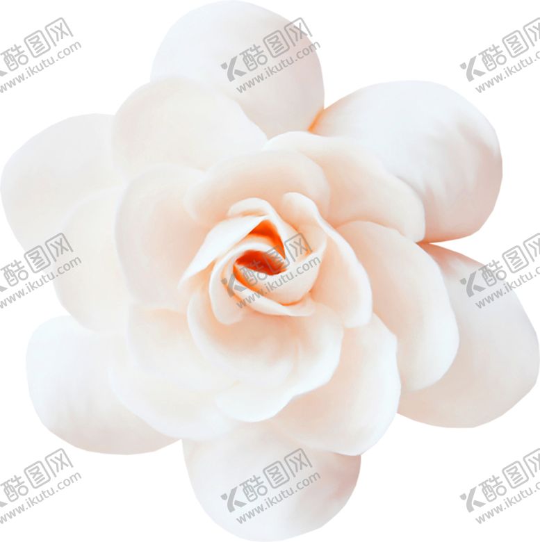 编号：63632309230307486341【酷图网】源文件下载-花素材