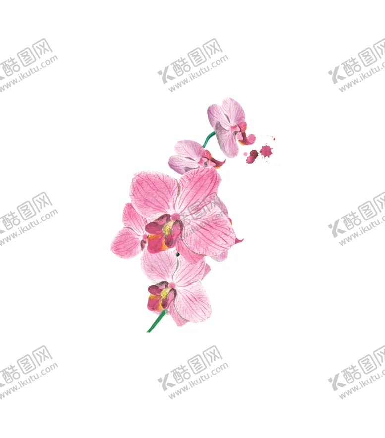 编号：75234206260525208439【酷图网】源文件下载-手绘植物