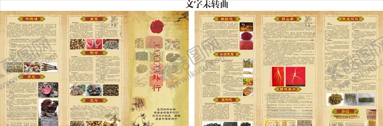 编号：40956904070342525597【酷图网】源文件下载-药材三折页