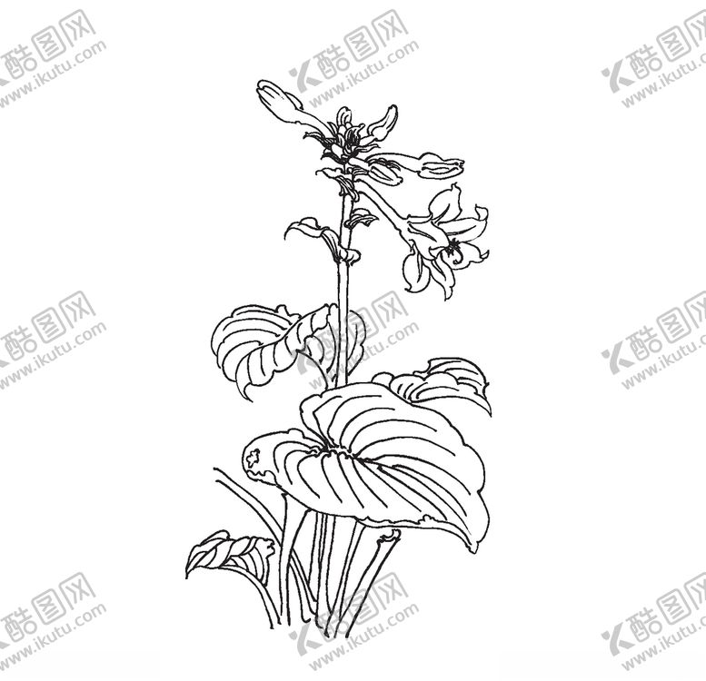 编号：71419506191315536637【酷图网】源文件下载-玉簪