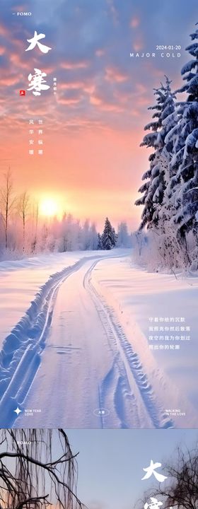 大寒节气海报二十四简约雪景雪地