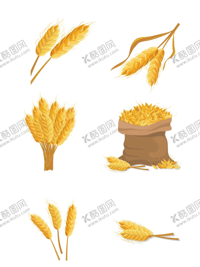 编号：60439509200019105327【酷图网】源文件下载-小麦