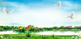 蓝天白云春草地空金色草原