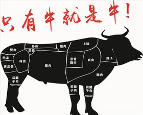 牛部位分解图