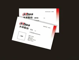 大华股份名片