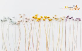 小碎花背景墙