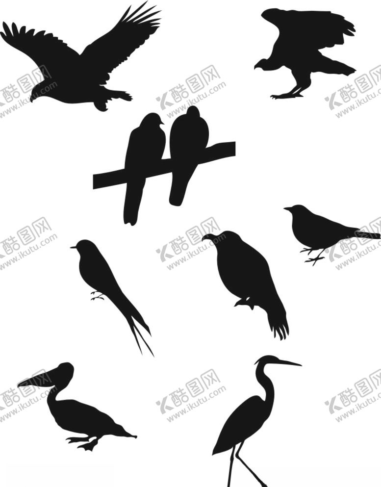 编号：92594610201506342458【酷图网】源文件下载-鸟雀鹰