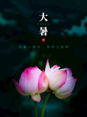 大暑转发图二十四节气浅色