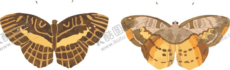 编号：35406810132158513853【酷图网】源文件下载-蝴蝶昆虫插画