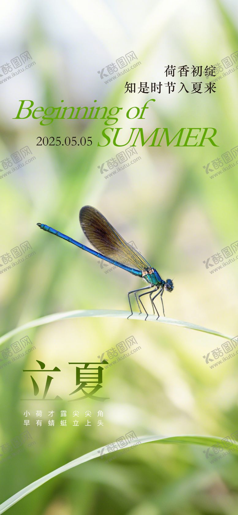 编号：39319805032016059696【酷图网】源文件下载-二十四节气立夏海报