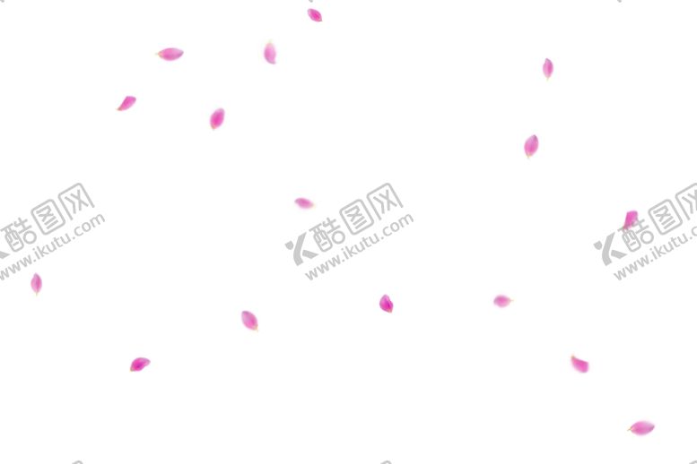编号：50385912180534309250【酷图网】源文件下载-飘落花瓣鲜花漂浮元素图片