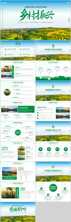 全面推进乡村振兴项目工作汇报PPT