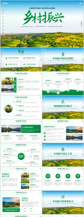 全面推进乡村振兴项目工作汇报PPT