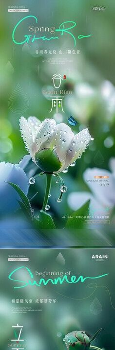 地产谷雨立夏牡丹节气海报